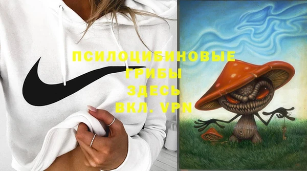 амф Нязепетровск