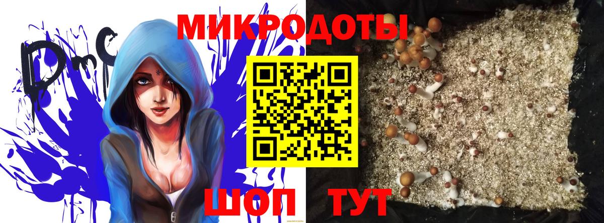 Псилоцибиновые грибы Cubensis Шарыпово