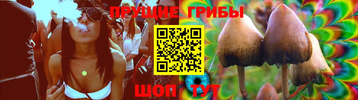 Псилоцибиновые грибы Psilocybine cubensis  купить закладку  Шарыпово  Вход с VPN 